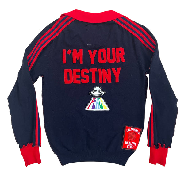 A Love Movement Cashmere UFO “I’m your destiny”